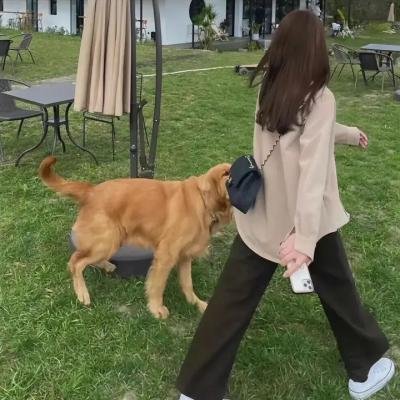 鬼附身