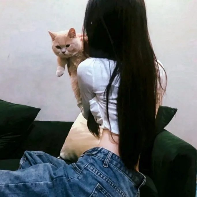 芳心谋杀案